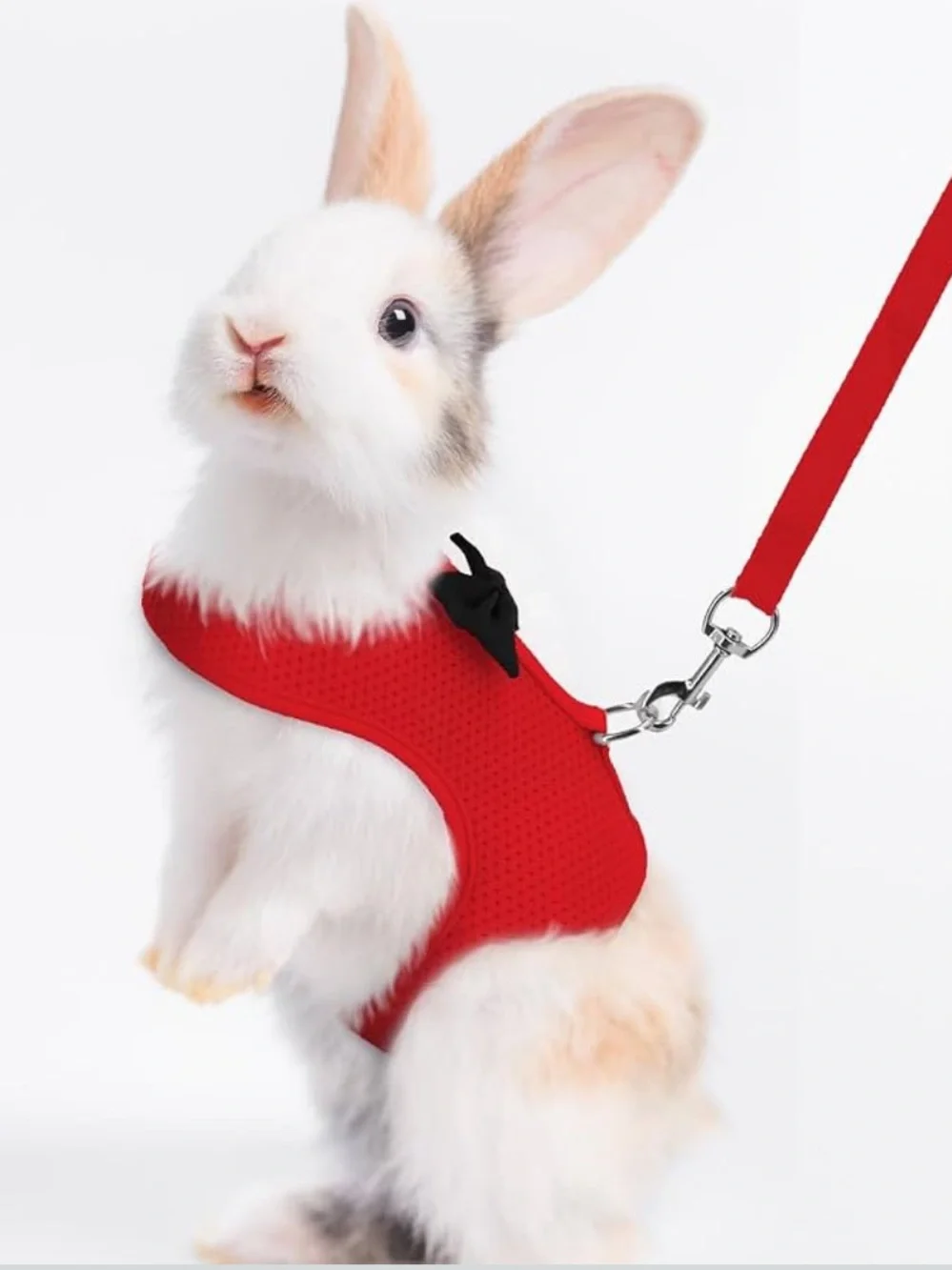 NWOT Rabbit Cat Ferret Small Pet Harnesses with Leashes